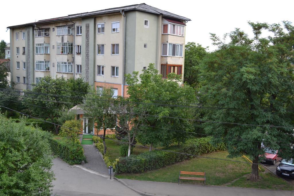 Pension Coral Baia Mare Exterior foto